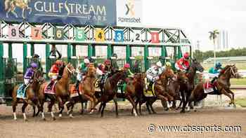 2020 Florida Derby results: Tiz The Law puts on another impressive showing with win in front of empty stands