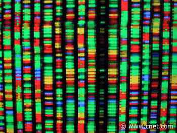Best DNA test in 2020: 23andMe, AncestryDNA and more compared     - CNET