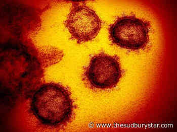 Seventh confirmed case of COVID-19 reported in Sudbury