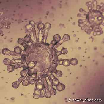 Fact check: Claim of new symptoms for COVID-19 is partly false