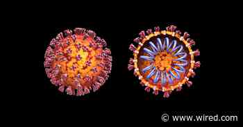 AI Can Help Scientists Find a Covid-19 Vaccine