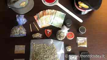 Si ritrovano in un capanno a fumare erba, i forestali li vedono e chiamano i carabinieri - Trento Today