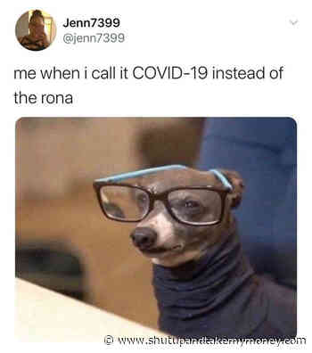 Me When I Call It Covid 19 Instead Of The Rona – Dog Meme