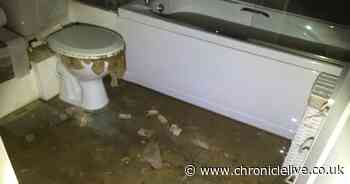 Blocked sewers and toilet floods: Vile cost of toilet roll panic buying exposed