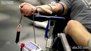 Can blood from coronavirus survivors treat the newly ill?