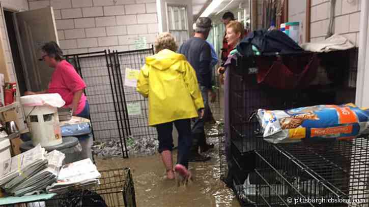 Community Rallies Around Local Animal Shelter Hit By Major Flooding
