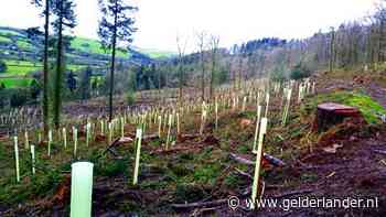 Dit gebeurt er met de CO2-compensatie die je afkoopt bij vliegschaamte