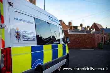 Woman in court after coughing and spitting at police amid coronavirus crisis