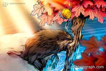 Canada’s New AML Rules Have Room for Improvement but a Good Start, Eh?