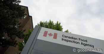 Federal meat inspectors union seeks safety guarantee amid coronavirus pandemic