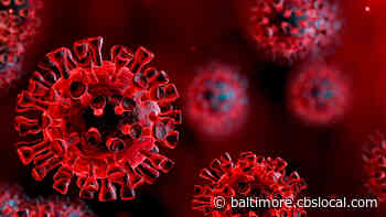 Coronavirus Latest: 15 COVID-19 Deaths Reported In Maryland