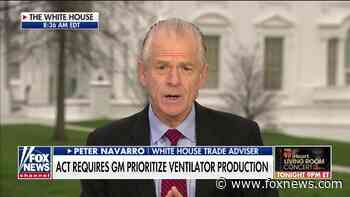 Peter Navarro: Intent on preventing 'bottlenecks' of needed medical supplies, ventilators - Fox News