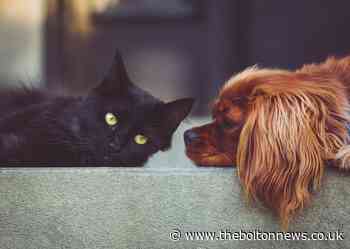 Bolton pet shop still open for essentials during coronavirus - The Bolton News