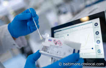Coronavirus Latest: 1,239 COVID-19 Cases, 15 Deaths Reported In Maryland - CBS Baltimore