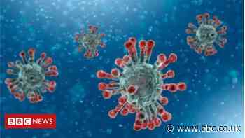 Coronavirus: Six more deaths in Northern Ireland