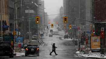 7 potential lingering effects of COVID-19 on the economy: Don Pittis