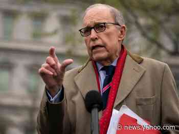 Trump's top economic adviser says Americans can expect coronavirus stimulus checks to show up in their bank accounts 'in a couple of weeks'