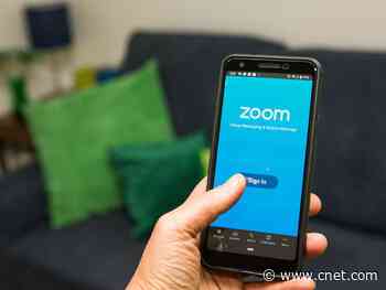Using Zoom while working from home? Here are the privacy risks to watch out for     - CNET