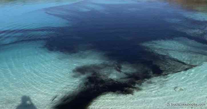 Police in UK dye blue lagoon black to ward off pesky influencers who should be staying home