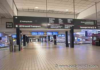 Travel industry was flying high, then COVID-19 grounded the world