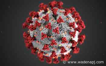 Coronavirus March 30: Developments across our region - Wadena Pioneer Journal