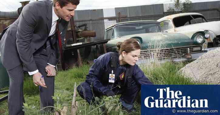 Bones crunching: seven days, 12 seasons, 246 episodes and one addled brain