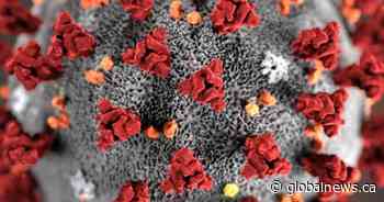 A look at research being done in Canada for a coronavirus vaccine