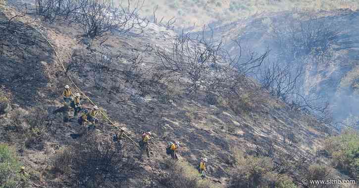 Letter: Preventing wildfires requires reductions in grazing