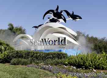 SeaWorld furloughs 90% of workers because of virus crisis