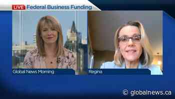 Canadian federation of independent business on the federal wage subsidiary