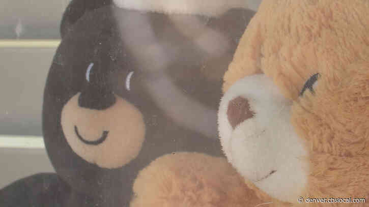 Teddy Bears Start Popping Up In Windows Of Colorado Homes