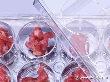 Lab-grown meat built on soy scaffold tastes and smells just like beef     - CNET