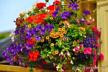 Baskets of Hope – New North Greenhouses