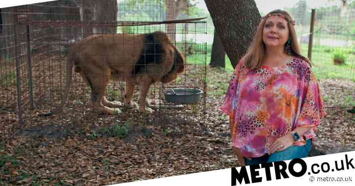 Netflix’s Tiger King could be used to solve case of Carole Baskin’s missing husband