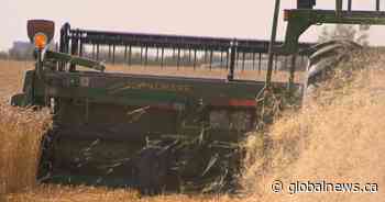 APAS seeks real time data to support Saskatchewan farmers impacted by coronavirus