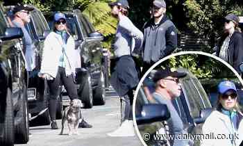 Arnold Schwarzenegger and Maria Shriver reunite as they meet up with kids and son-in-law in LA