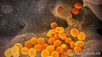 First 2 deaths from COVID-19 in Sask., 20 new cases