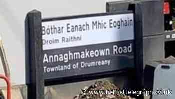 Coronavirus: Putting up dual-language road signage is 'an essential service' insists Mid Ulster District council