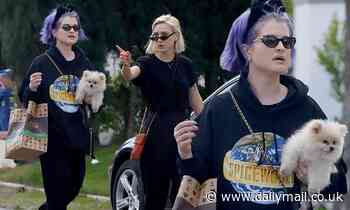 Kelly Osbourne carries her pet pooch Polly as she stocks up on groceries