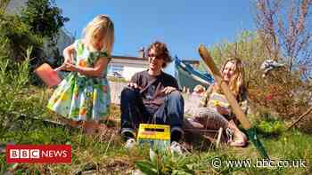 Coronavirus: Will food supply fears see a rise in home-grown veg?