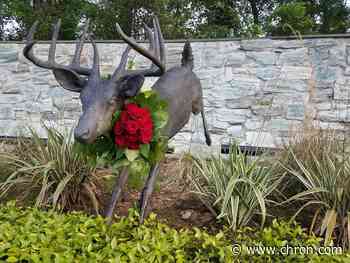 Floral shop decorates The Woodlands one arrangement at a time amid coronavirus
