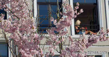 Finding Comfort in the Classics