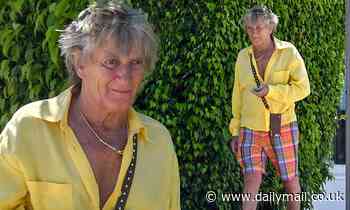 Rod Stewart, 75, enjoys a stroll in Florida amid coronavirus pandemic