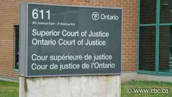 Parents should respect custody agreements during pandemic: Ontario court