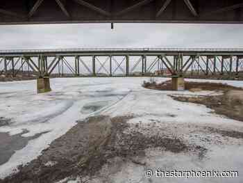 Man who fell into South Sask. River was trying to rescue dog