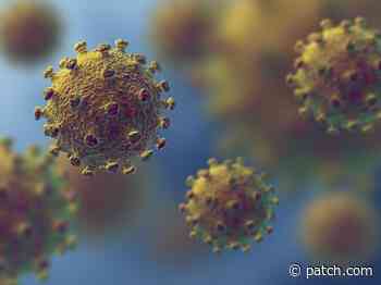 Coronavirus In Texas: Heres When Illness Could Peak - Houston, TX Patch