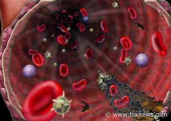 Coronavirus patients in Houston hospital becoming first in US to try experimental plasma transfusion - Fox News