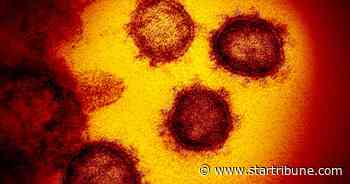 University of Minnesota, Mayo Clinic ready COVID-19 antibody tests in Minnesota