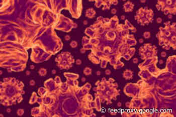 Is COVID-19 Not Disgusting Enough?