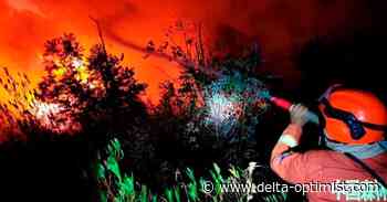 China state media reports 19 people killed in forest fire - Delta-Optimist